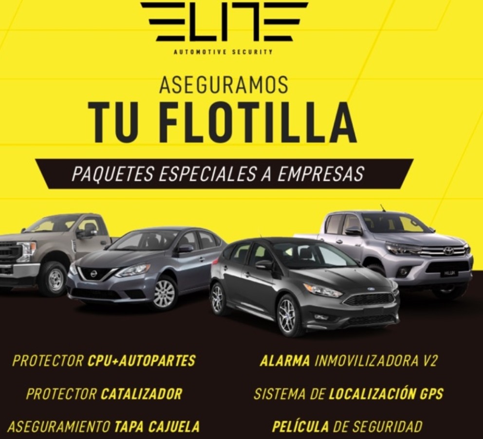 SEGURIDAD PARA FLOTILLAS
